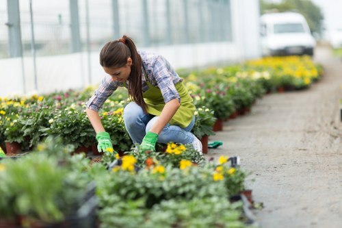 Southgate waste removal pricing and garden clearance service