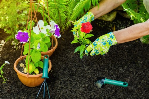 The image depicts a garden scene in a well-maintained outdoor space, likely in Southgate, where a person wearing colorful, patterned garden gloves is planting a flowering plant into dark, rich soil within a neatly edged flower bed. In the foreground, there is a small green hand trowel placed on the ground, alongside a garden fork. To the left, a terracotta hanging pot contains flowering plants with purple and white blooms and green foliage, supported by thin wooden stakes. Behind, lush green ferns and other leafy plants fill the background, creating a vibrant, natural environment. The garden appears to be in good condition, with a focus on flower bed creation and outdoor planting, aligning with professional gardening services. Soft natural light illuminates the scene, suggesting a mild weather day, suitable for outdoor landscaping work, which is part of standard maintenance by companies like Landscapers Southgate operating in the Southgate area in London.