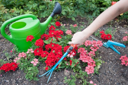 Landscaping waste being sorted for eco-friendly recycling in Southgate