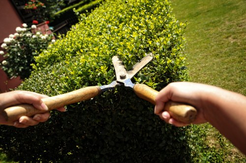 A close-up view of two hands using pruning shears with wooden handles to trim a dense, well-maintained hedge in a residential garden. The hedge features small, vibrant green leaves, creating a neat boundary along a lawn area with short, evenly cut grass in the background. To the left, there are blooming white and pink roses in a garden bed bordered with dark soil, while the right side shows an expanse of green lawn. The scene is well-lit with natural daylight, indicating clear weather. The image captures the landscaping work involved in garden maintenance, reflecting services offered by local gardening and landscaping specialists such as Landscapers Southgate, serving the N14 postal code area.