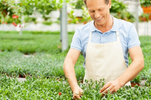 A man smiling and working in a well-maintained garden, wearing a light blue shirt and a beige apron, surrounded by lush green plants and flower beds with small red flowers. The garden features a neatly trimmed lawn in the foreground, bordered by flower beds and a paved pathway. In the background, there are trees and a greenhouse structure, indicating a landscaped outdoor space typical of Southgate. The scene is bright and sunny, highlighting the vibrant natural tones of the foliage and the tidy layout of the garden, reflecting professional gardening and outdoor maintenance services provided by Landscapers Southgate in the local area.
