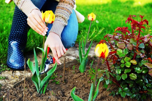 A gardener planting yellow and red tulips in a flower bed within a tidy backyard garden, featuring a well-maintained lawn with lush green grass, bordered by dense hedges and shrubs. The area displays a combination of soil and paved pathways, with natural sunlight illuminating the scene, suggesting mild weather. The gardener's hands are visible, carefully placing the tulips into the soil, and the garden background includes additional greenery and flowering plants, creating a vibrant outdoor space suitable for landscaping and garden maintenance services by Landscapers Southgate.