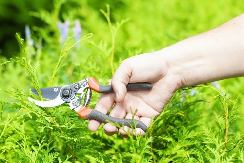 A close-up of a person's hand using pruning shears to trim a green shrub in a well-maintained garden. The background features lush green foliage, including various bushes and plants, with a slightly blurred effect highlighting the garden's vibrant natural tones. The scene appears to be outdoors on a clear day, with sunlight illuminating the greenery. The garden includes neatly clipped hedges and a variety of leafy plants, suggesting ongoing landscaping or gardening work by a professional service such as Landscapers Southgate. This image emphasizes garden maintenance, shrub trimming, and outdoor plant care typical of services offered in the Southgate area, showcasing a tidy and healthy landscaped outdoor space suited for gardening projects or flower bed enhancements.