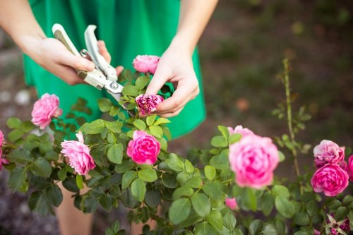 A person wearing a green apron is using garden pruning shears to trim a flowering shrub in a well-maintained residential garden, which features a variety of pink roses with lush green foliage. The garden has a neat, landscaped appearance with a mixture of flowering plants and leafy shrubs, and the background includes dark soil beds and a hint of garden soil or mulch. The scene is set outdoors under natural daylight, suggesting pleasant weather conditions suitable for gardening work. The individual's hands are visible as they carefully prune the plant, supporting the healthy growth of the flowers, with a focus on maintaining the garden's aesthetic appeal and plant health. This image represents professional gardening and pruning services offered by Landscapers Southgate and illustrates typical garden maintenance activities in a suburban outdoor space near Southgate.
