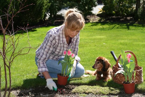 A woman with blonde hair, wearing a plaid shirt and white gardening gloves, is kneeling on a well-maintained grassy lawn in a landscaped garden. She is planting pink tulips in a terracotta pot, with several additional tulips visible in pots nearby, some arranged in a wicker basket. The garden features a lush green lawn, a backdrop of tall trees and shrubs providing privacy and shade, and a neatly edged flower bed with dark soil surrounding the planting area. The scene is illuminated by natural daylight on a clear weather day, highlighting the vibrant green tones of the grass and foliage. A small brown puppy with floppy ears is sitting attentively beside her, watching her work. The overall setting reflects a tidy outdoor space suitable for gardening and outdoor leisure, with landscaping details that suggest professional gardening services are involved in maintaining the lush environment, typical of the Southgate area.