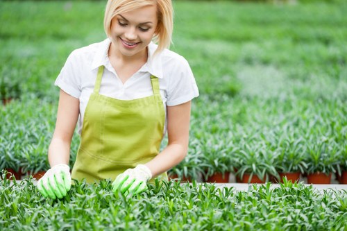A young woman with short blonde hair, wearing a white shirt and a light green gardening apron, is working in a well-maintained garden nursery or greenhouse with lush green plants. She is using green gardening gloves to tend to small, dense, leafy plants in long, narrow flower trays or pots aligned neatly across the space. The background features more layers of healthy, vibrant greenery with evenly spaced young plants, suggesting an organized and professional gardening environment. The overall setting appears bright with natural daylight, indicating a clear weather day, suitable for gardening activities. The scene reflects a professional horticultural environment that a landscaping company like Landscapers Southgate might support, emphasizing plant care and sustainable outdoor garden maintenance in the Southgate area.