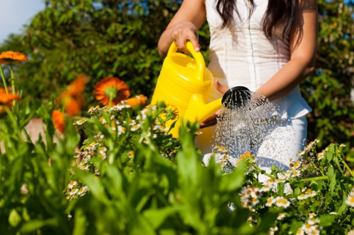 A person with long dark hair, dressed in a sleeveless white top, is watering a garden bed with a yellow watering can. The garden features a variety of flowering plants, including orange and white blooms, with dense green foliage in the foreground. The background shows a lush hedge or shrubbery under bright, sunny weather, creating a vibrant outdoor scene typical of a landscaped garden in Southgate. The garden surface is a combination of soil and planted beds, with no visible paving or decking, and the person appears to be engaged in garden maintenance or planting activities, supporting professional gardening and landscaping services in the area.