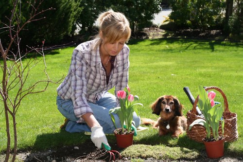 A woman with light brown hair, wearing a light purple checkered shirt and blue jeans, is kneeling on a well-maintained lawn in a sunny garden in Southgate. She is tending to a flower bed with pink tulips in small pots, using gardening gloves and a trowel. The garden features a lush, evenly cut green grass, bordered by a low hedge and a few young, leafless trees with slender branches. In the background, there are shaded areas with mature trees providing natural cover, and a paved path or patio area partially visible. A small brown and white puppy sits attentively next to her, while a wicker basket filled with additional pink tulips and gardening tools rests nearby. Bright sunlight illuminates the scene, creating natural shadows and highlighting the vibrant green, pink, and earthy tones of the garden environment, reflecting professional gardening and landscaping care typical of Southgate outdoor spaces.