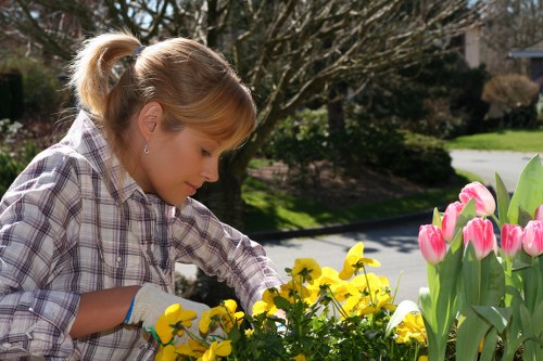 A young woman with blonde hair tied in a ponytail, wearing a plaid shirt and gardening gloves, is tending to a flower bed in an outdoor garden. She is reaching into the bed to care for or examine the yellow and pink tulips and possibly some other flowering plants. The garden features a well-maintained lawn and a variety of plants, with some shrubs and trees visible in the background. Sunlight illuminates the scene, suggesting a clear day, and the garden is located in a residential area, potentially within Southgate, with a paved pathway or street in the background. The overall setting reflects tidy landscaping and plant care, typical of outdoor garden maintenance services offered by specialists like those at Landscapers Southgate.
