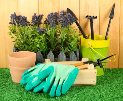 A neatly arranged garden scene featuring several lavender plants in small black pots placed on a light wooden surface, with a row of empty terracotta plant pots of varying sizes positioned to the left. In front of the pots, there is a pair of turquoise gardening gloves resting on a wooden tray that holds gardening tools, including a hand trowel and a small rake. To the right, a yellow plastic bucket contains three garden hand tools with black handles, standing upright against a background of a wooden fence. The scene is set outdoors on a green artificial grass surface, suggesting a well-maintained outdoor space suitable for gardening activities typical of Southgate or surrounding areas in the UK, reflecting professional gardening and landscaping services provided by Landscapers Southgate.